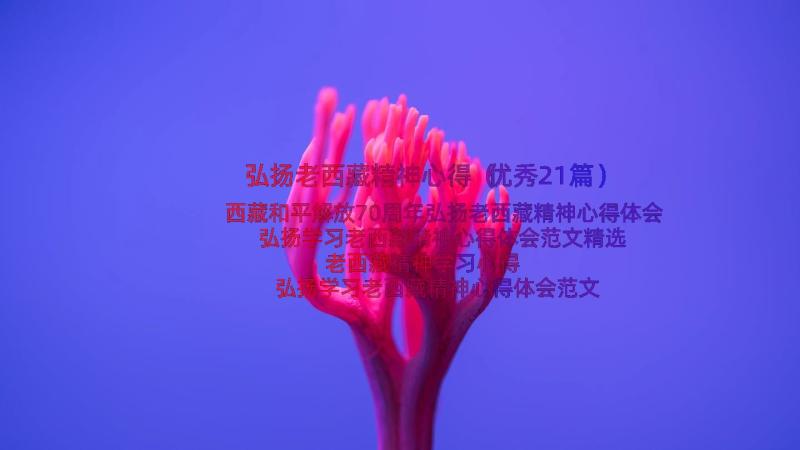 弘扬老西藏精神心得（优秀21篇）