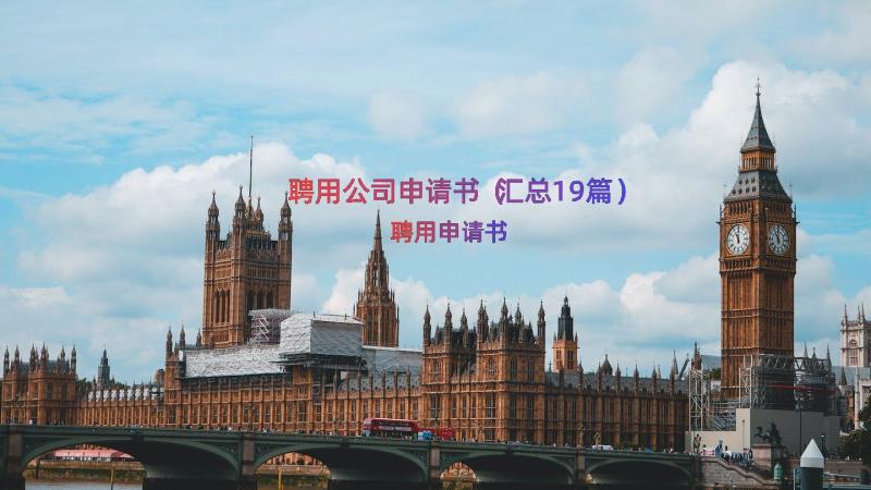 聘用公司申请书（汇总19篇）