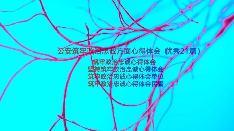 公安筑牢政治忠诚方面心得体会（优秀21篇）