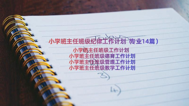 小学班主任班级纪律工作计划（专业14篇）