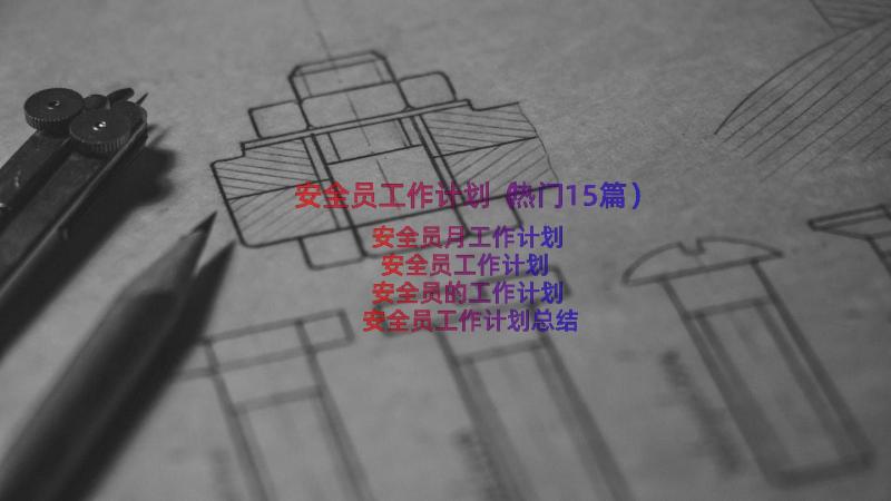 安全员工作计划（热门15篇）