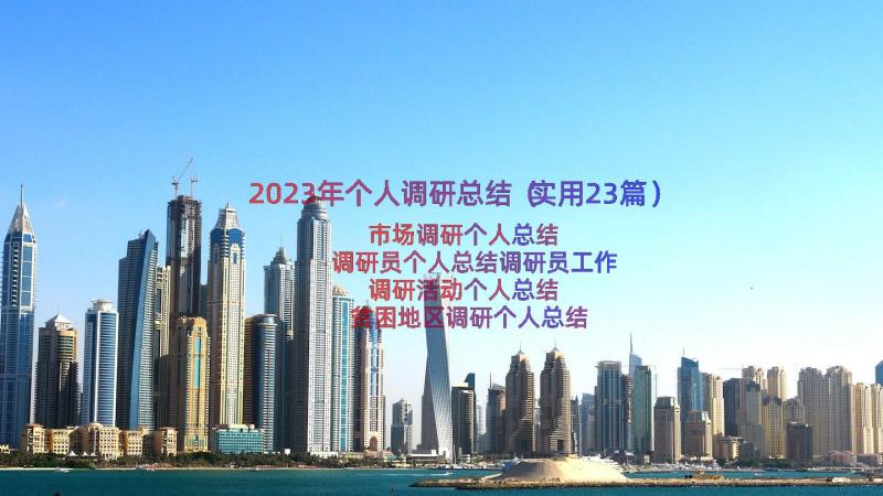 2023年个人调研总结（实用23篇）