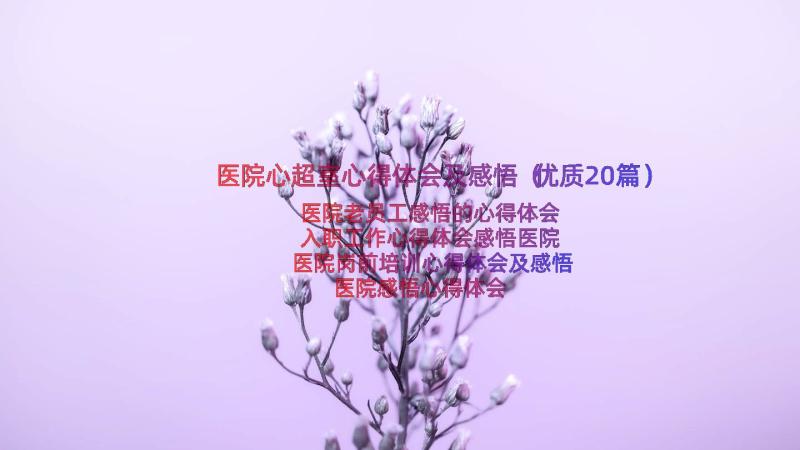 医院心超室心得体会及感悟（优质20篇）