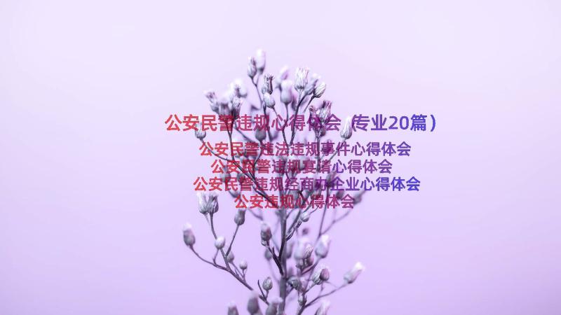 公安民警违规心得体会（专业20篇）