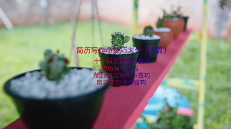 简历写作小技巧大全（16篇）