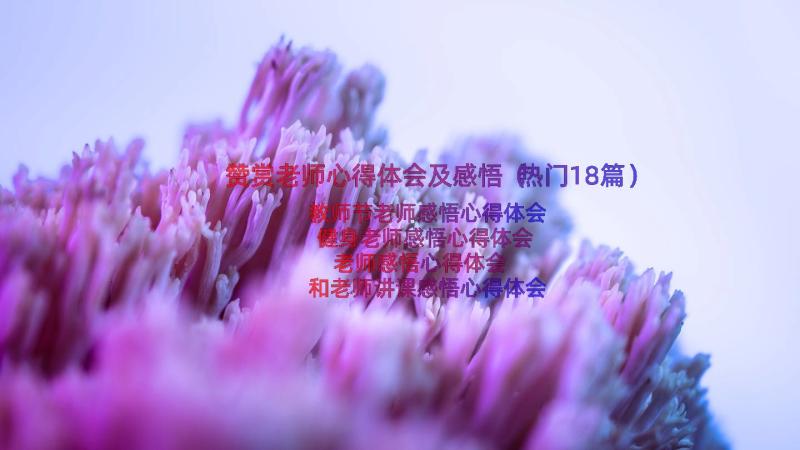 赞赏老师心得体会及感悟（热门18篇）