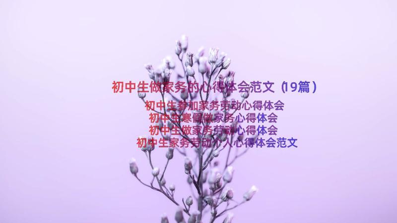 初中生做家务的心得体会范文（19篇）