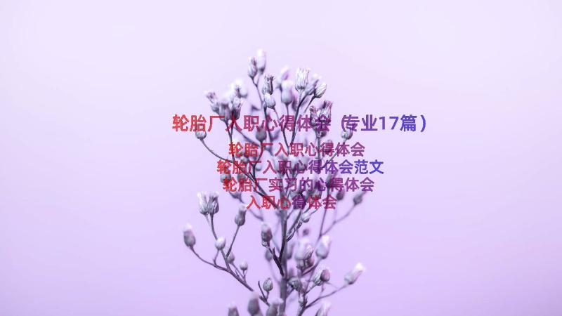 轮胎厂入职心得体会（专业17篇）