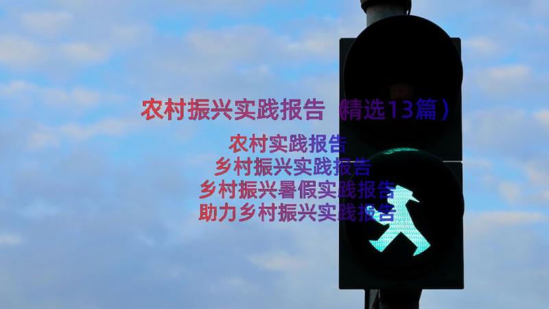 农村振兴实践报告（精选13篇）