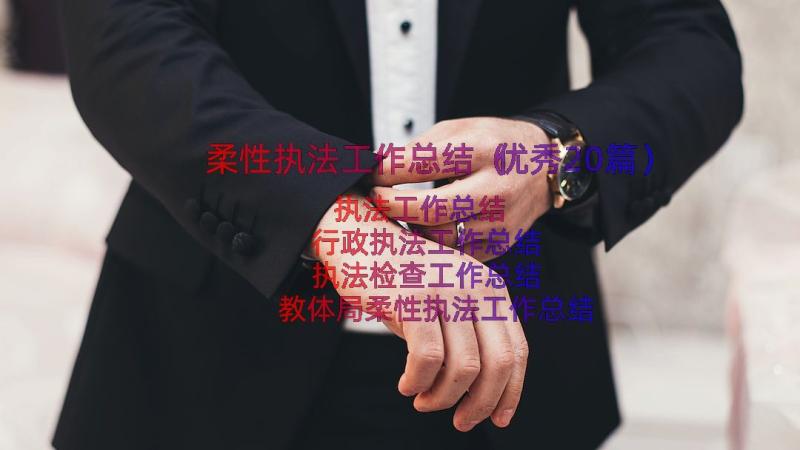 柔性执法工作总结（优秀20篇）