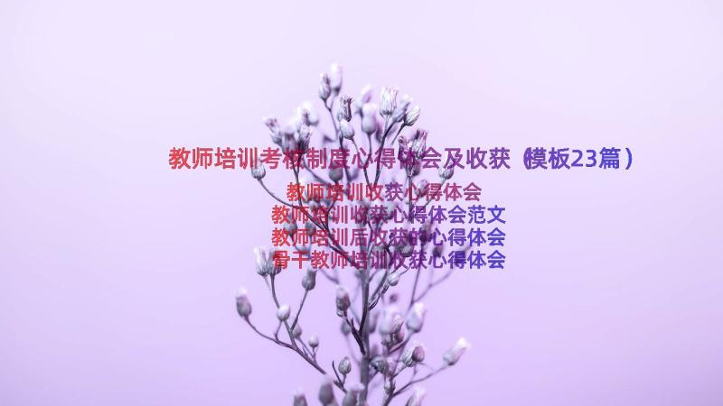 教师培训考核制度心得体会及收获（模板23篇）