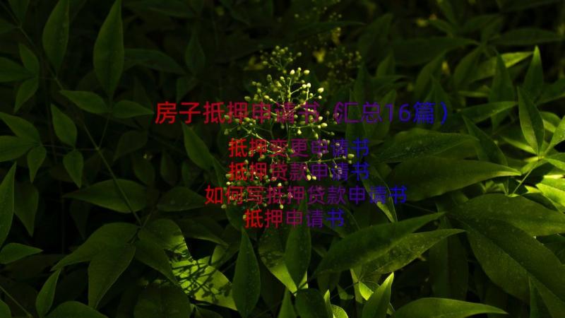 房子抵押申请书（汇总16篇）