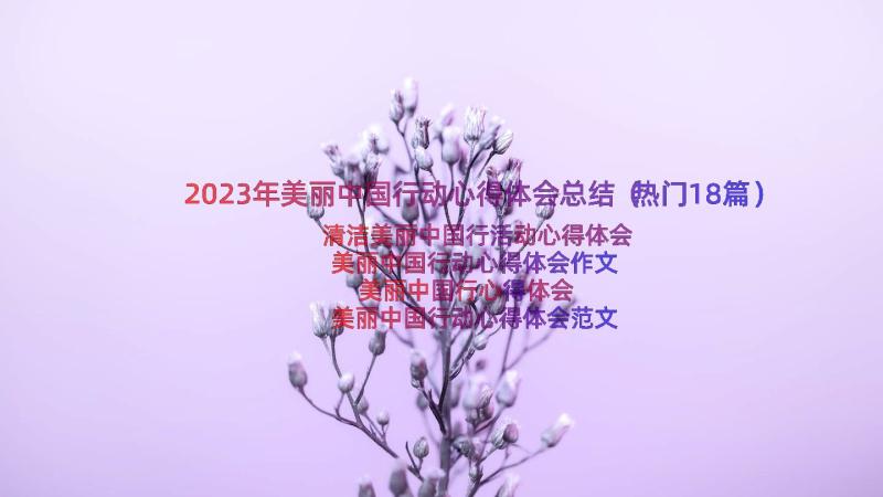 2023年美丽中国行动心得体会总结（热门18篇）