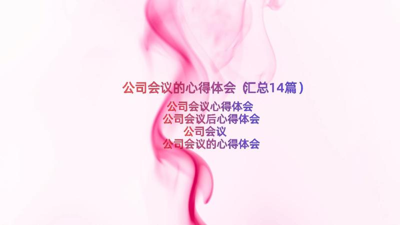 公司会议的心得体会（汇总14篇）