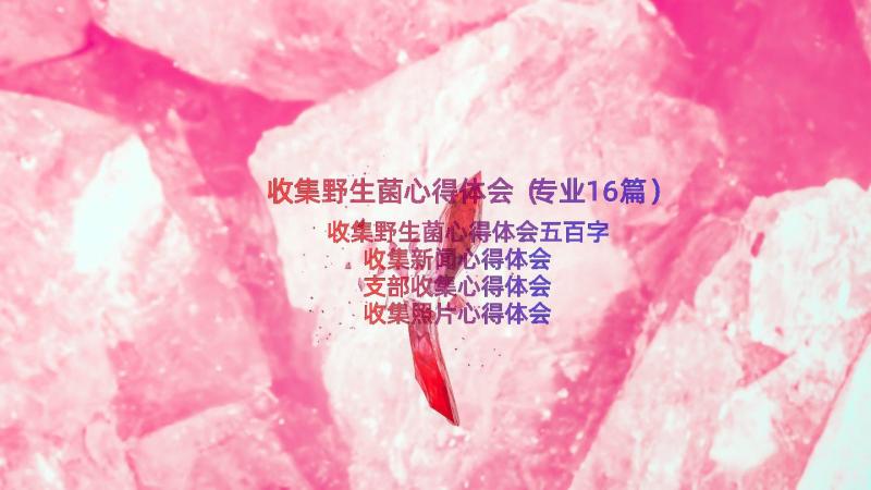 收集野生菌心得体会（专业16篇）