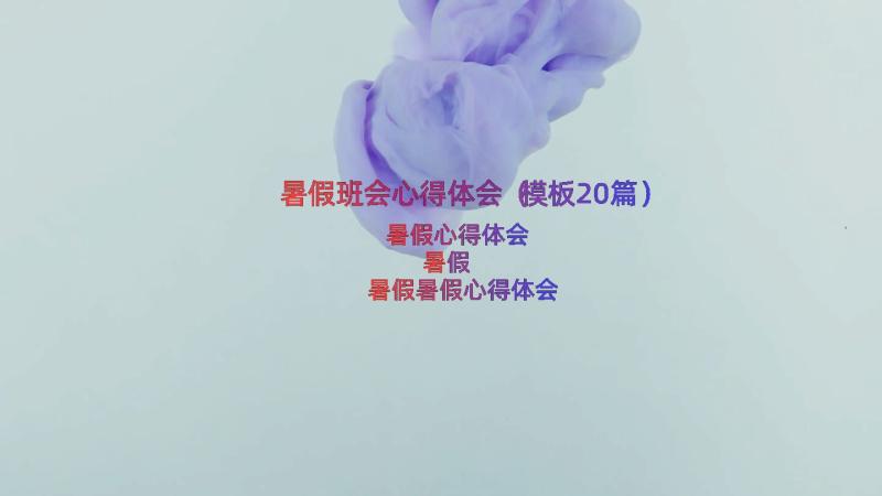 暑假班会心得体会（模板20篇）