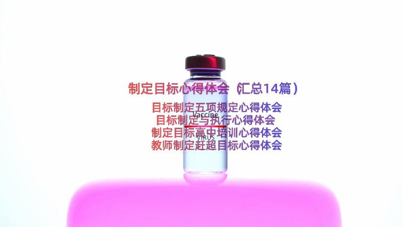 制定目标心得体会（汇总14篇）