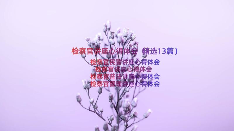 检察官讲座心得体会（精选13篇）