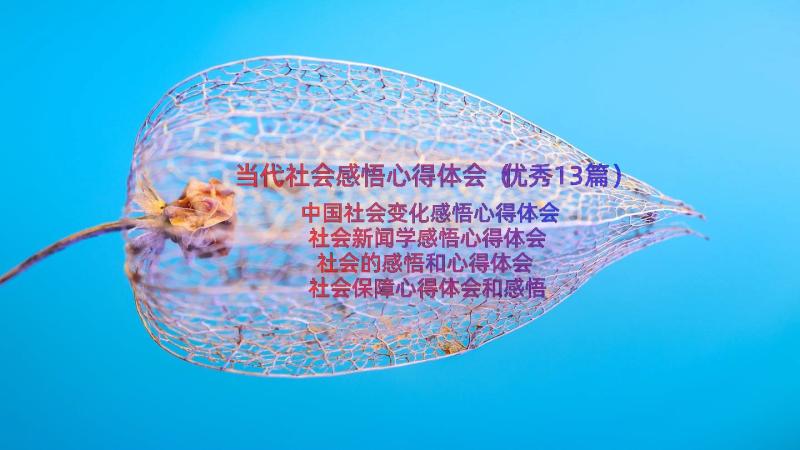 当代社会感悟心得体会（优秀13篇）