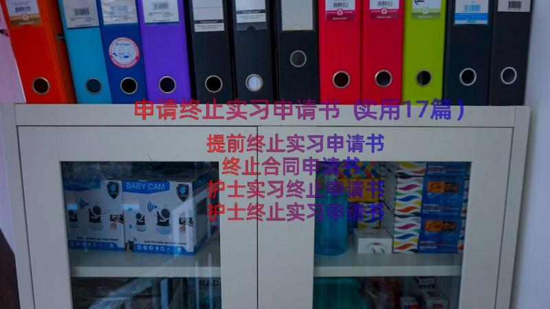 申请终止实习申请书（实用17篇）