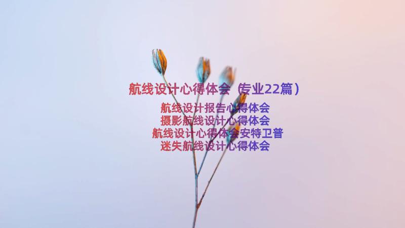 航线设计心得体会（专业22篇）