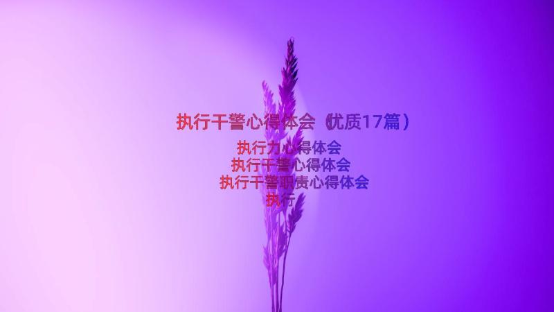 执行干警心得体会（优质17篇）