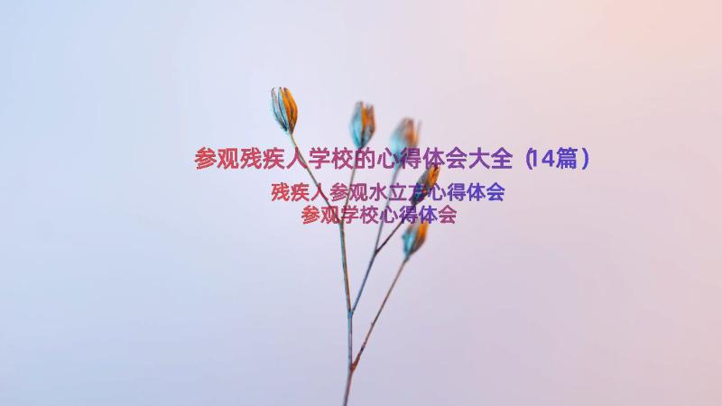 参观残疾人学校的心得体会大全（14篇）