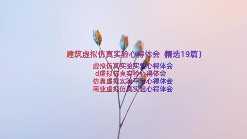 建筑虚拟仿真实验心得体会（精选19篇）