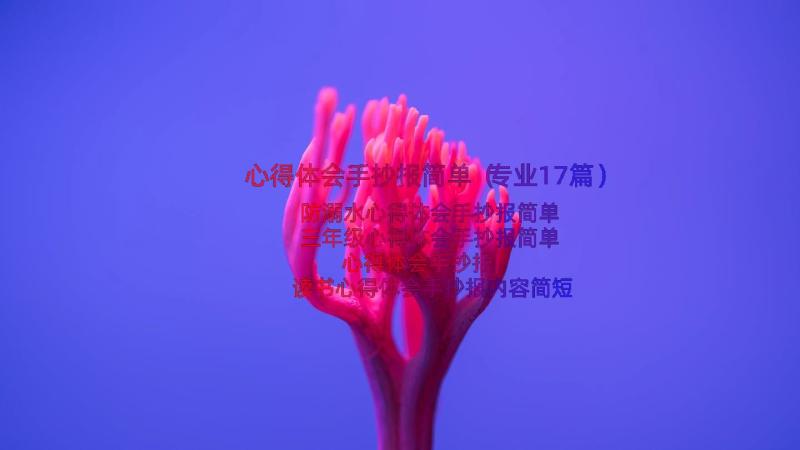 心得体会手抄报简单（专业17篇）