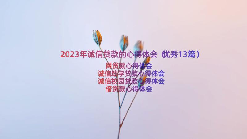 2023年诚信贷款的心得体会（优秀13篇）