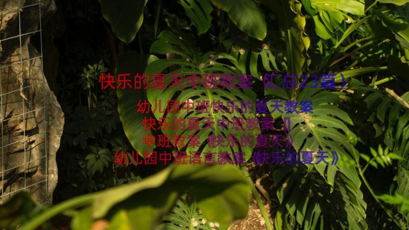 快乐的夏天中班教案（汇总23篇）