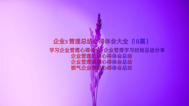 企业s管理总结心得体会大全（18篇）