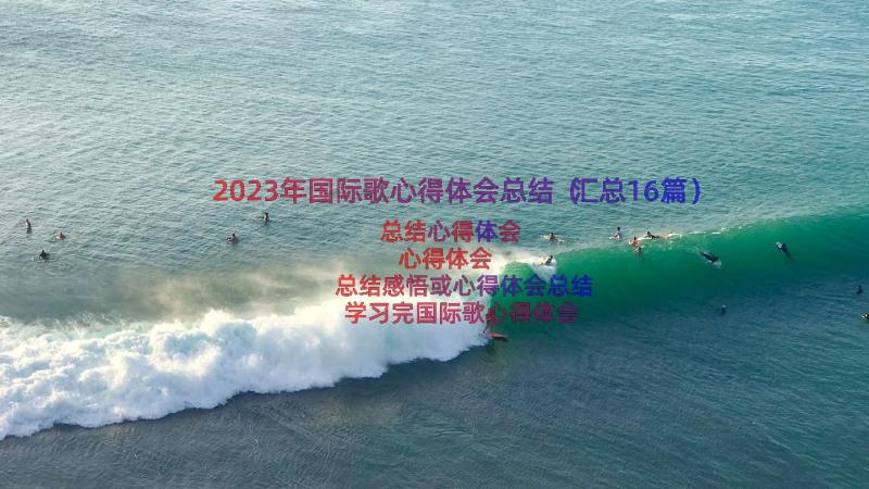 2023年国际歌心得体会总结（汇总16篇）