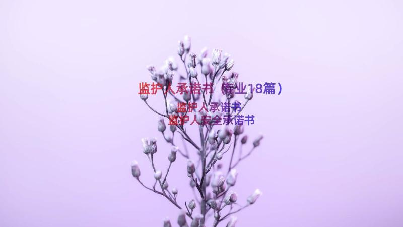 监护人承诺书（专业18篇）