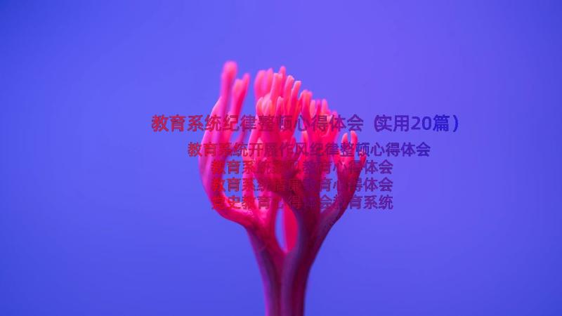 教育系统纪律整顿心得体会（实用20篇）