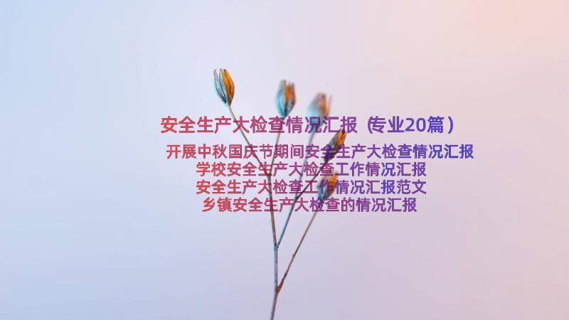 安全生产大检查情况汇报（专业20篇）