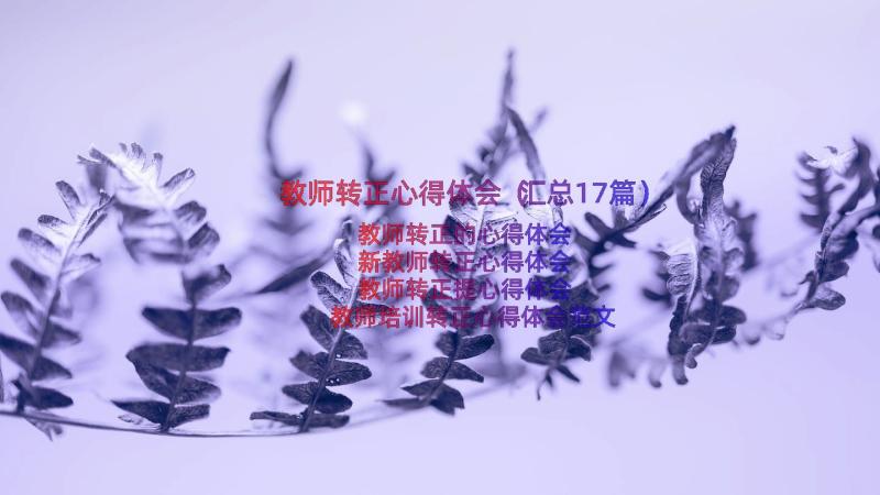 教师转正心得体会（汇总17篇）