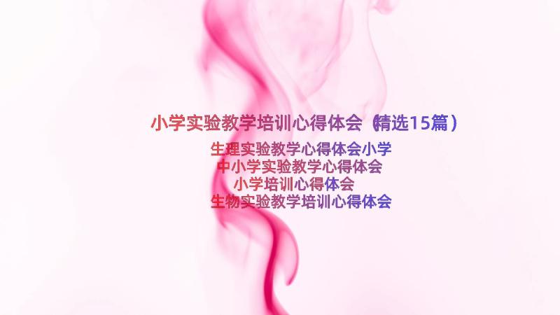 小学实验教学培训心得体会（精选15篇）