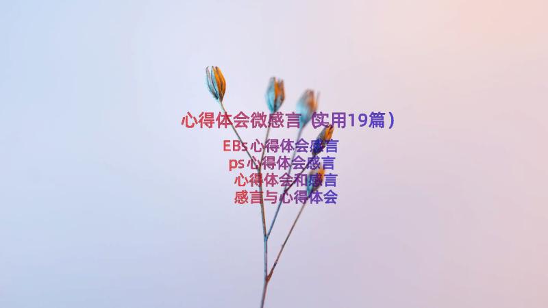 心得体会微感言（实用19篇）