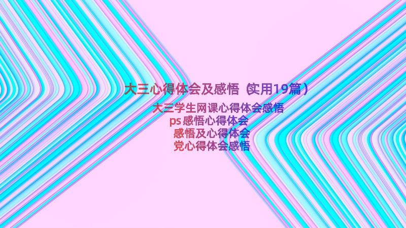 大三心得体会及感悟（实用19篇）