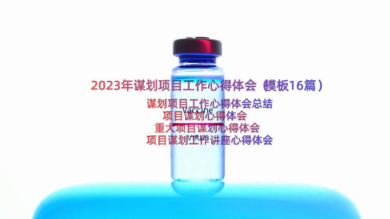 2023年谋划项目工作心得体会（模板16篇）