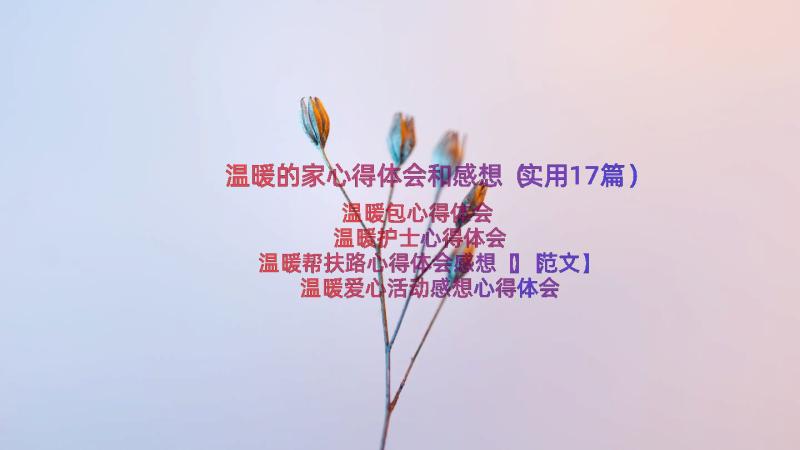 温暖的家心得体会和感想（实用17篇）