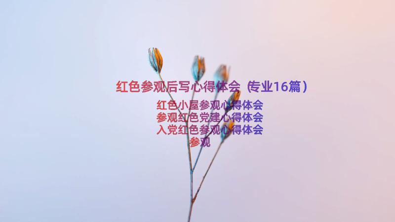 红色参观后写心得体会（专业16篇）