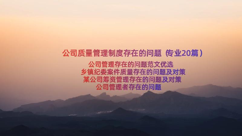 公司质量管理制度存在的问题（专业20篇）