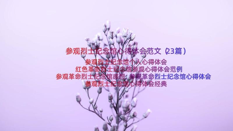 参观烈士纪念馆心得体会范文（23篇）