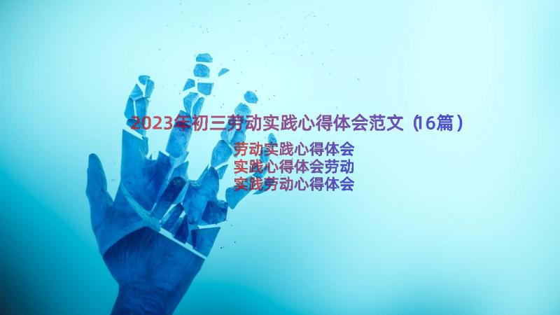 2023年初三劳动实践心得体会范文（16篇）