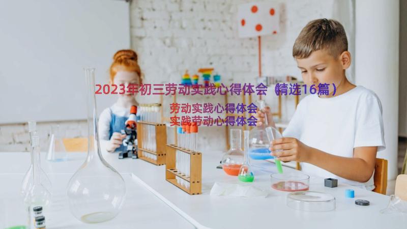 2023年初三劳动实践心得体会（精选16篇）