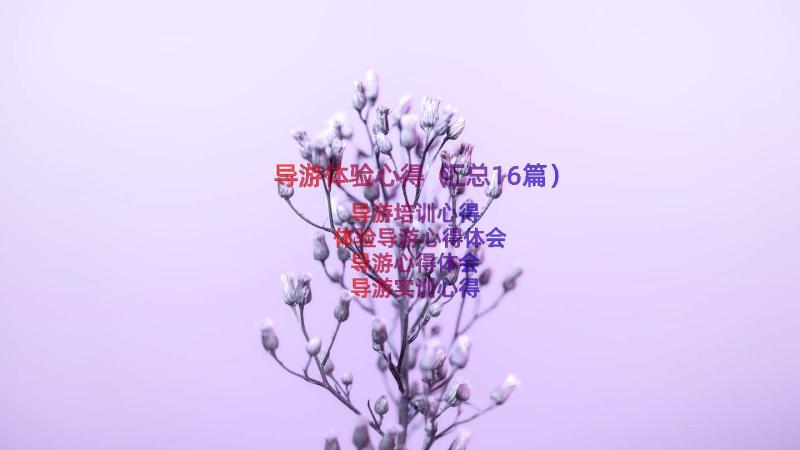 导游体验心得（汇总16篇）