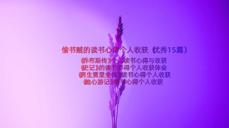 偷书贼的读书心得个人收获（优秀15篇）