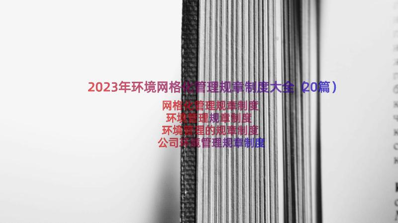 2023年环境网格化管理规章制度大全（20篇）